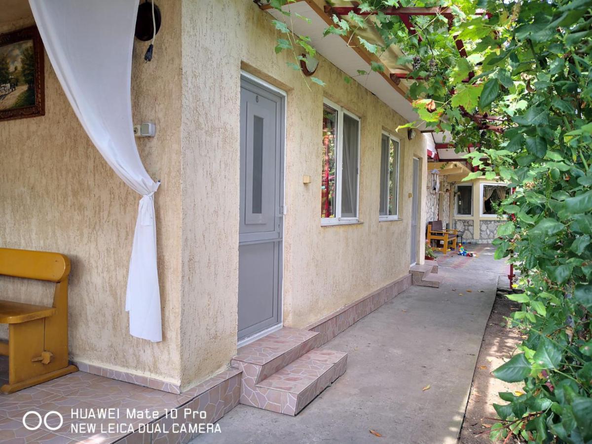 Casa De Vacanta Alexoiu Două Mai Екстериор снимка