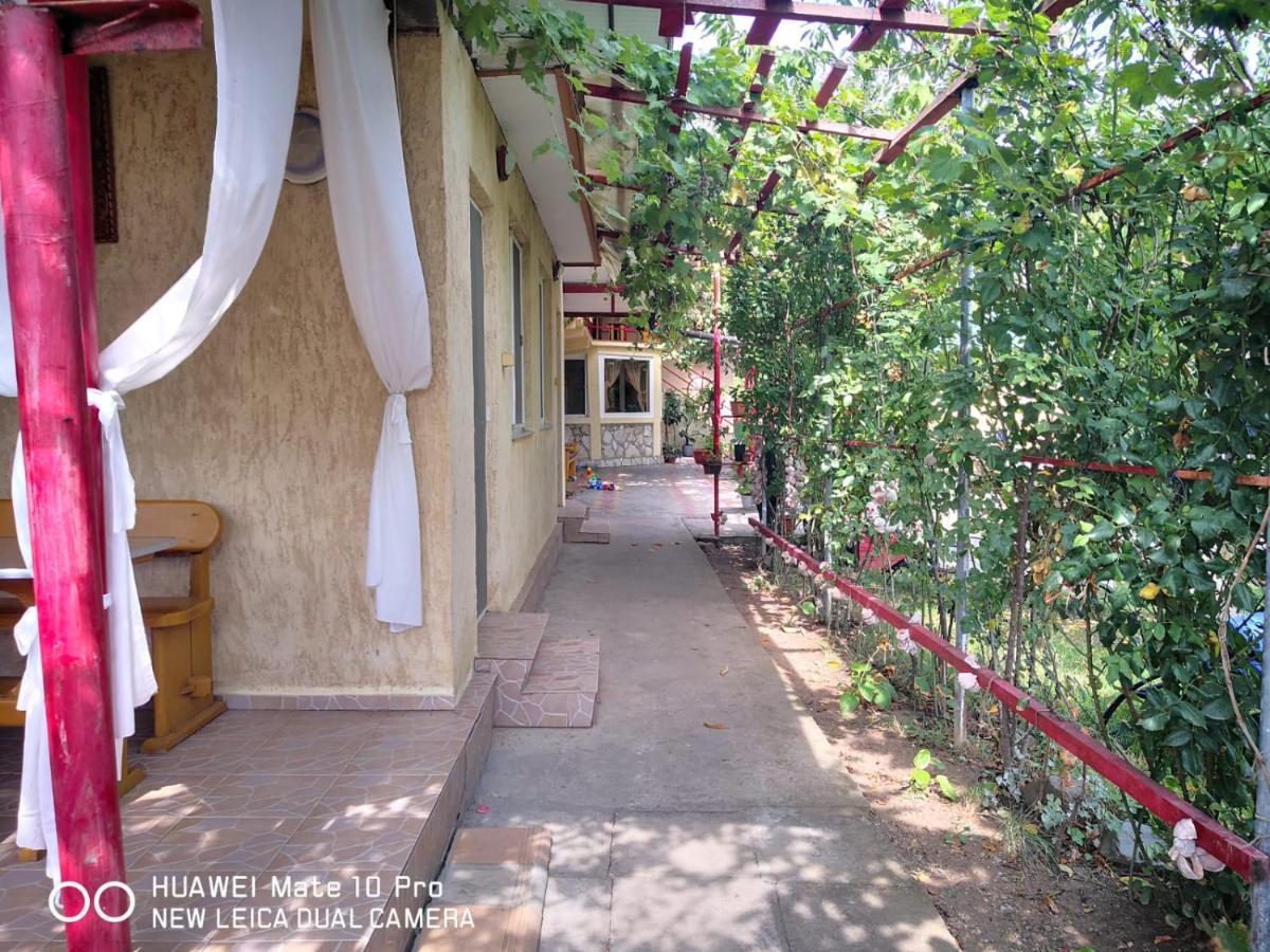 Casa De Vacanta Alexoiu Două Mai Екстериор снимка