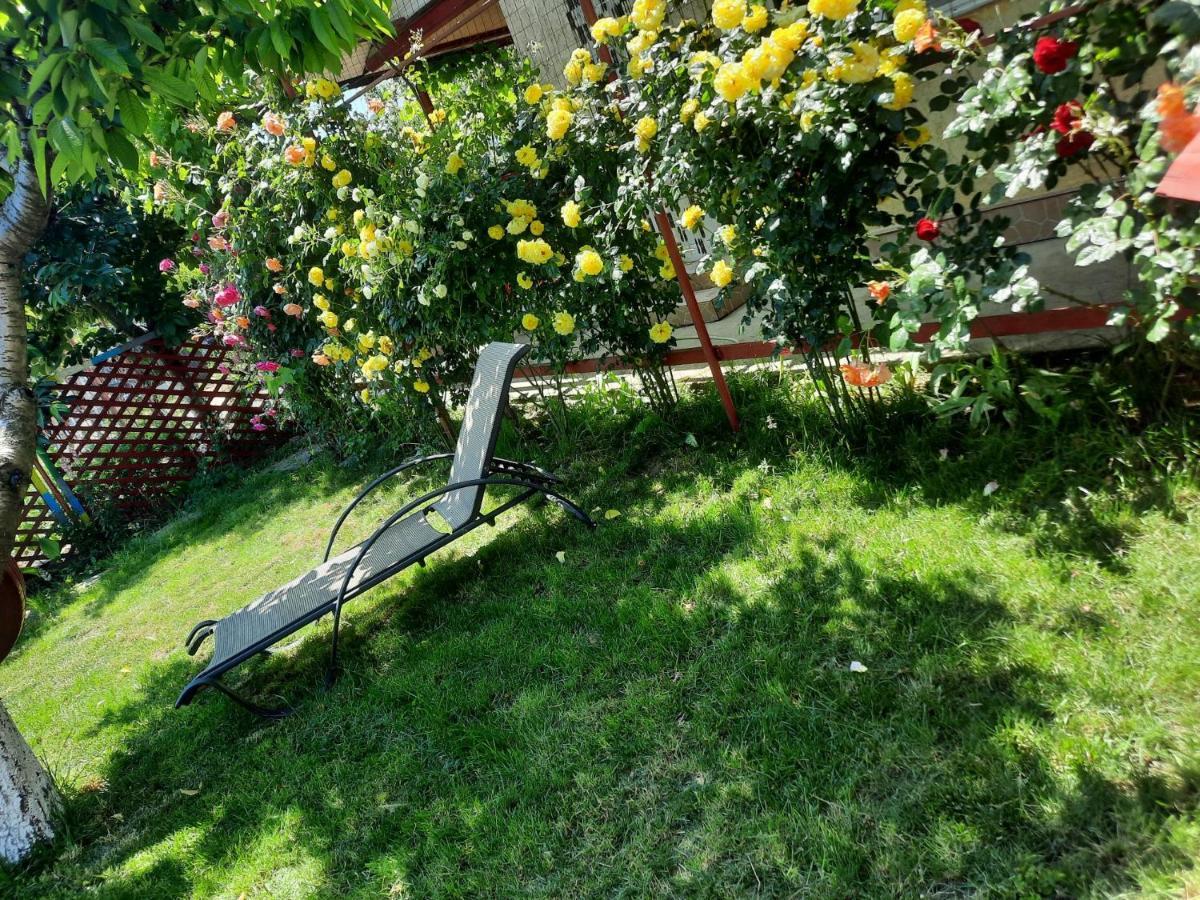 Casa De Vacanta Alexoiu Două Mai Екстериор снимка